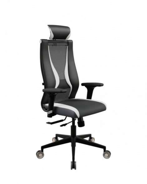 Кресло SynchroSit 10 B2-170D - T+UMF(SY271)+Extra