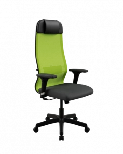 Кресло ErgoLife Set 11/подл.200/осн.Sit 001