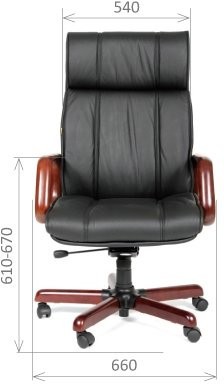 Директорское кресло CHAIRMAN 419 / CH 419